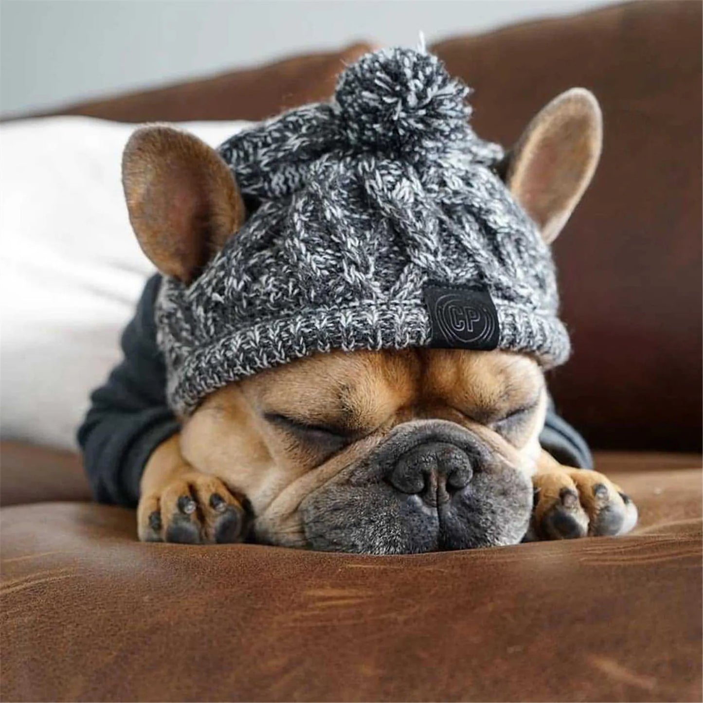 Windproof Knitted Winter Hat for Dogs - French Bulldog and Chihuahua Designs with Fluffy Ball Accessories