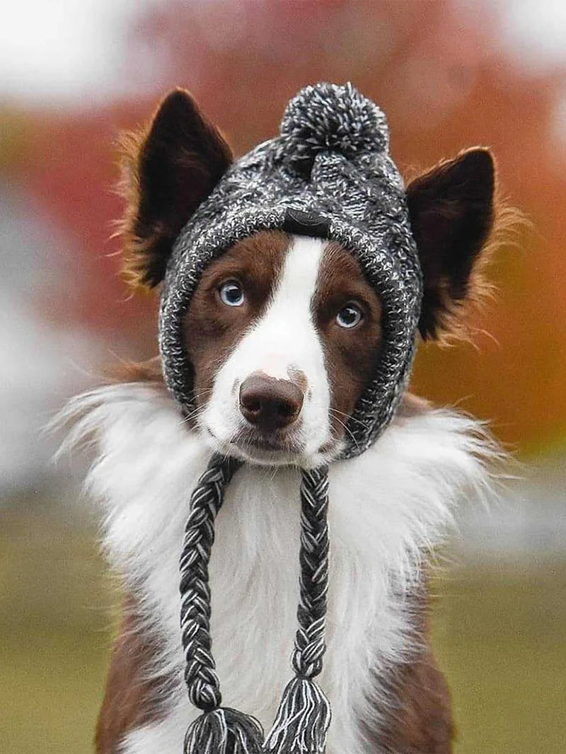 Windproof Knitted Winter Hat for Dogs - French Bulldog and Chihuahua Designs with Fluffy Ball Accessories