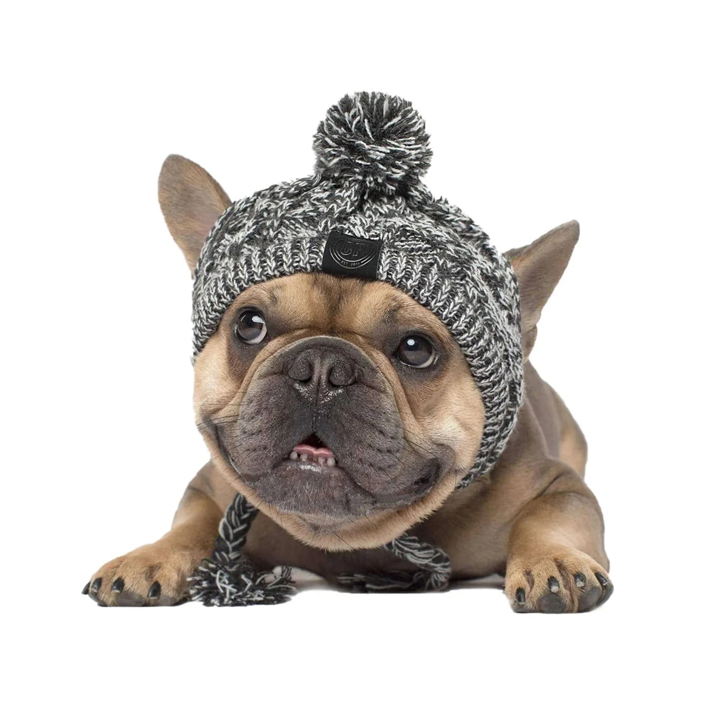 Windproof Knitted Winter Hat for Dogs - French Bulldog and Chihuahua Designs with Fluffy Ball Accessories