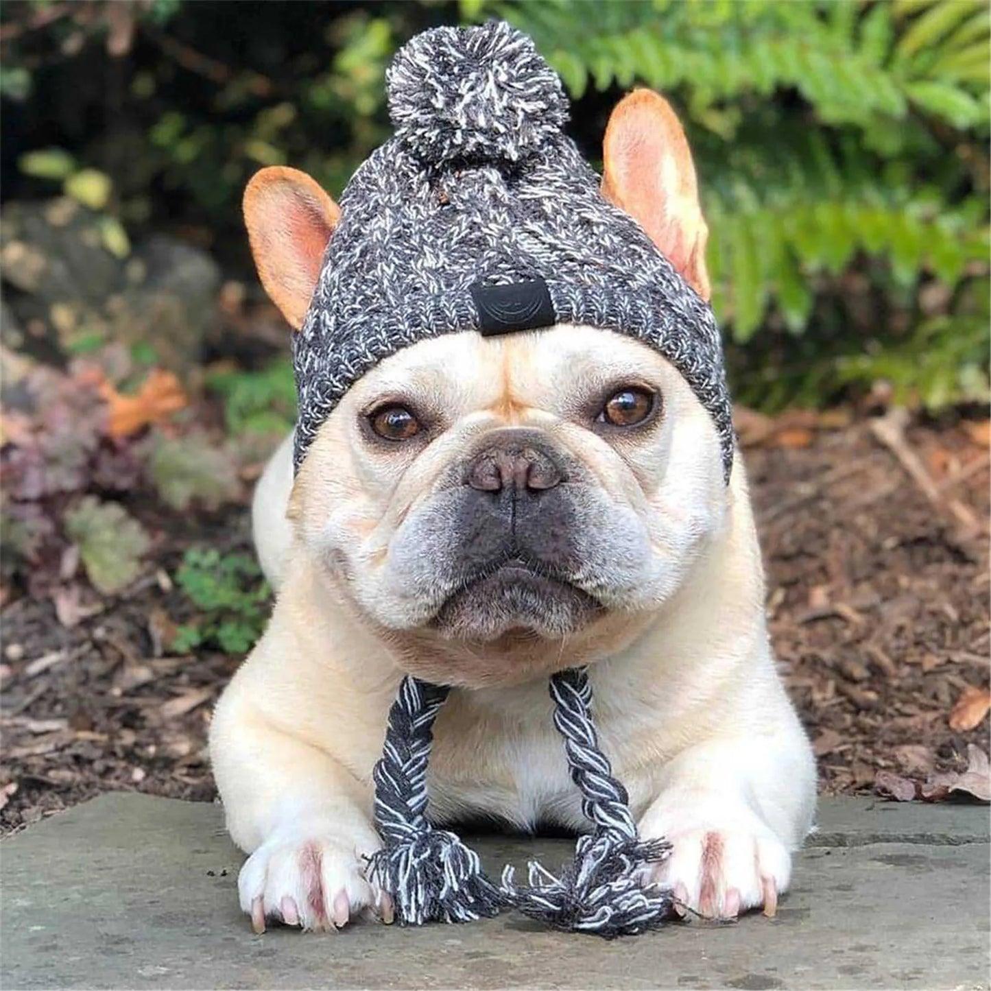 Windproof Knitted Winter Hat for Dogs - French Bulldog and Chihuahua Designs with Fluffy Ball Accessories